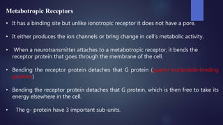 Metabotropic Receptors
• It has a binding site but unlike ionotropic receptor it does not have a pore.
• It either produces the ion channels or bring change in cell’s metabolic activity.
• When a neurotransmitter attaches to a metabotropic receptor, it bends the
receptor protein that goes through the membrane of the cell.
• Bending the receptor protein detaches that G protein (guanyl nucleotide-binding
proteins)
• Bending the receptor protein detaches that G protein, which is then free to take its
energy elsewhere in the cell.
• The g- protein have 3 important sub-units.
 
