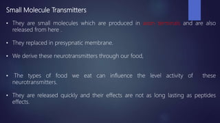 Small Molecule Transmitters
• They are small molecules which are produced in axon terminals and are also
released from here .
• They replaced in presypnatic membrane.
• We derive these neurotransmitters through our food,
• The types of food we eat can influence the level activity of these
neurotransmitters.
• They are released quickly and their effects are not as long lasting as peptides
effects.
 