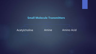 Small Molecule Transmitters
Acetylcholine Amine Amino Acid
 