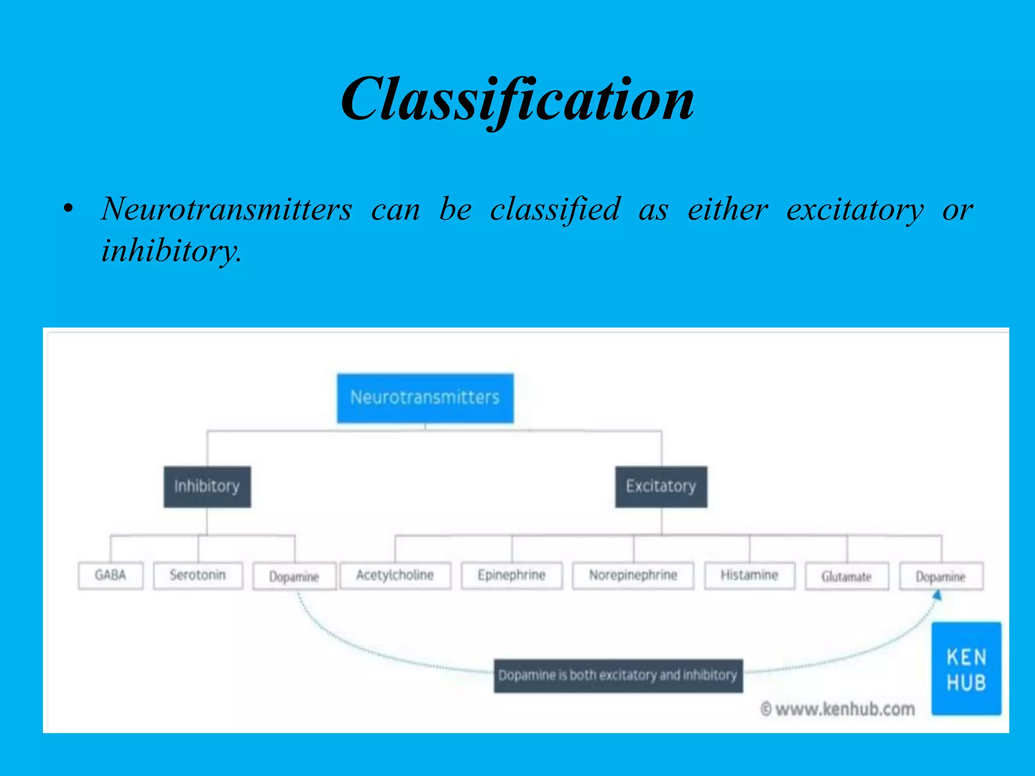 Classification
• Neurotransmitters can be classified as either excitatory or
inhibitory.
 