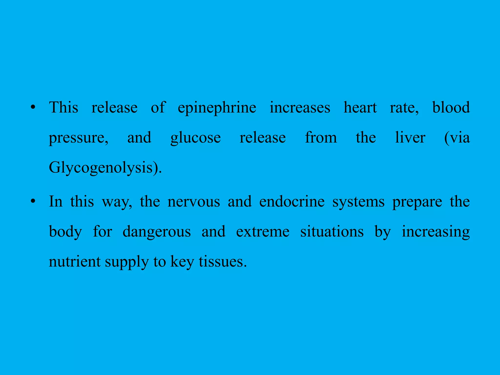 • This release of epinephrine increases heart rate, blood
pressure, and glucose release from the liver (via
Glycogenolysis).
• In this way, the nervous and endocrine systems prepare the
body for dangerous and extreme situations by increasing
nutrient supply to key tissues.
 