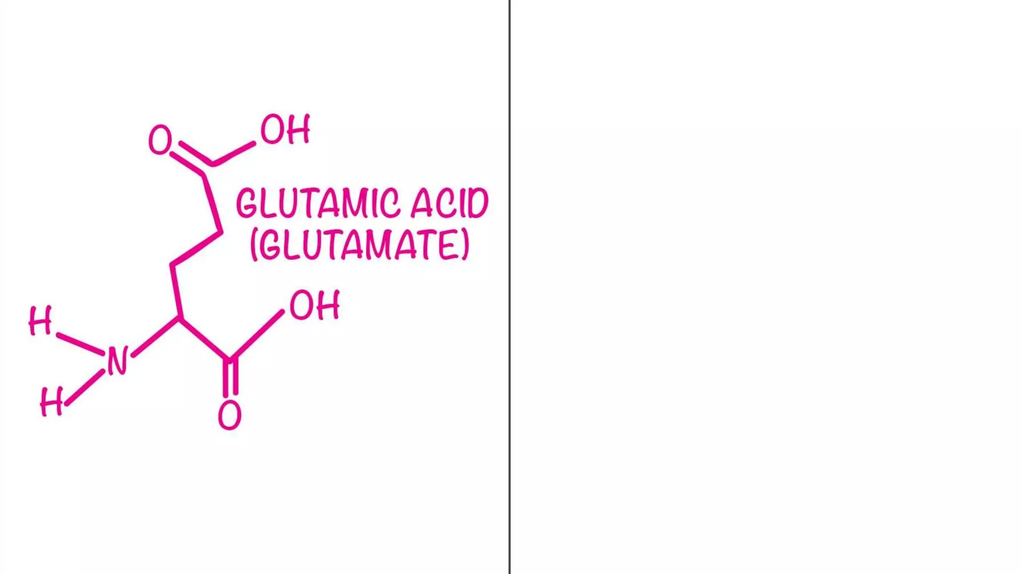 Glutamate
 