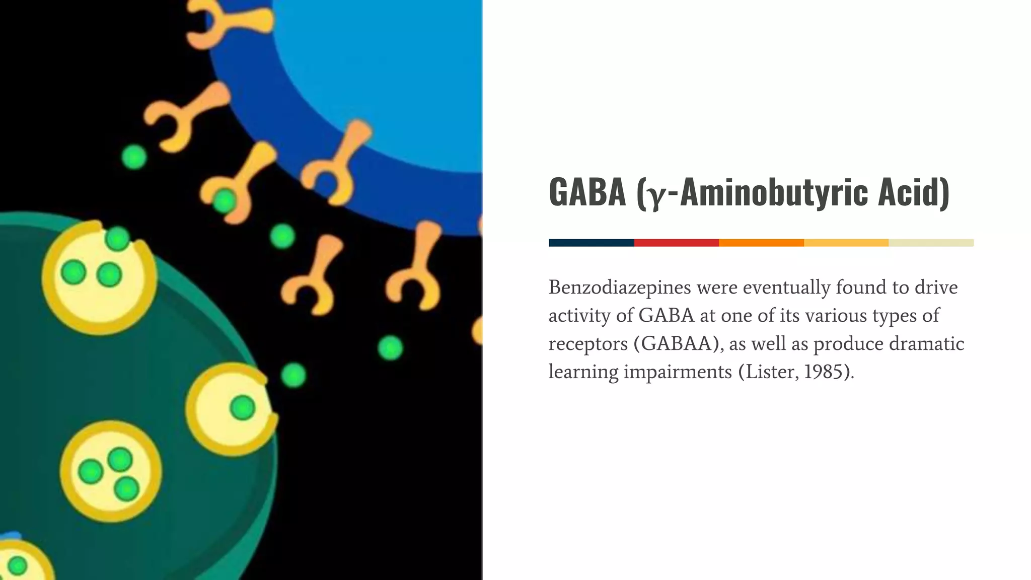 GABA (γ-Aminobutyric Acid)
Benzodiazepines were eventually found to drive
activity of GABA at one of its various types of
receptors (GABAA), as well as produce dramatic
learning impairments (Lister, 1985).
 