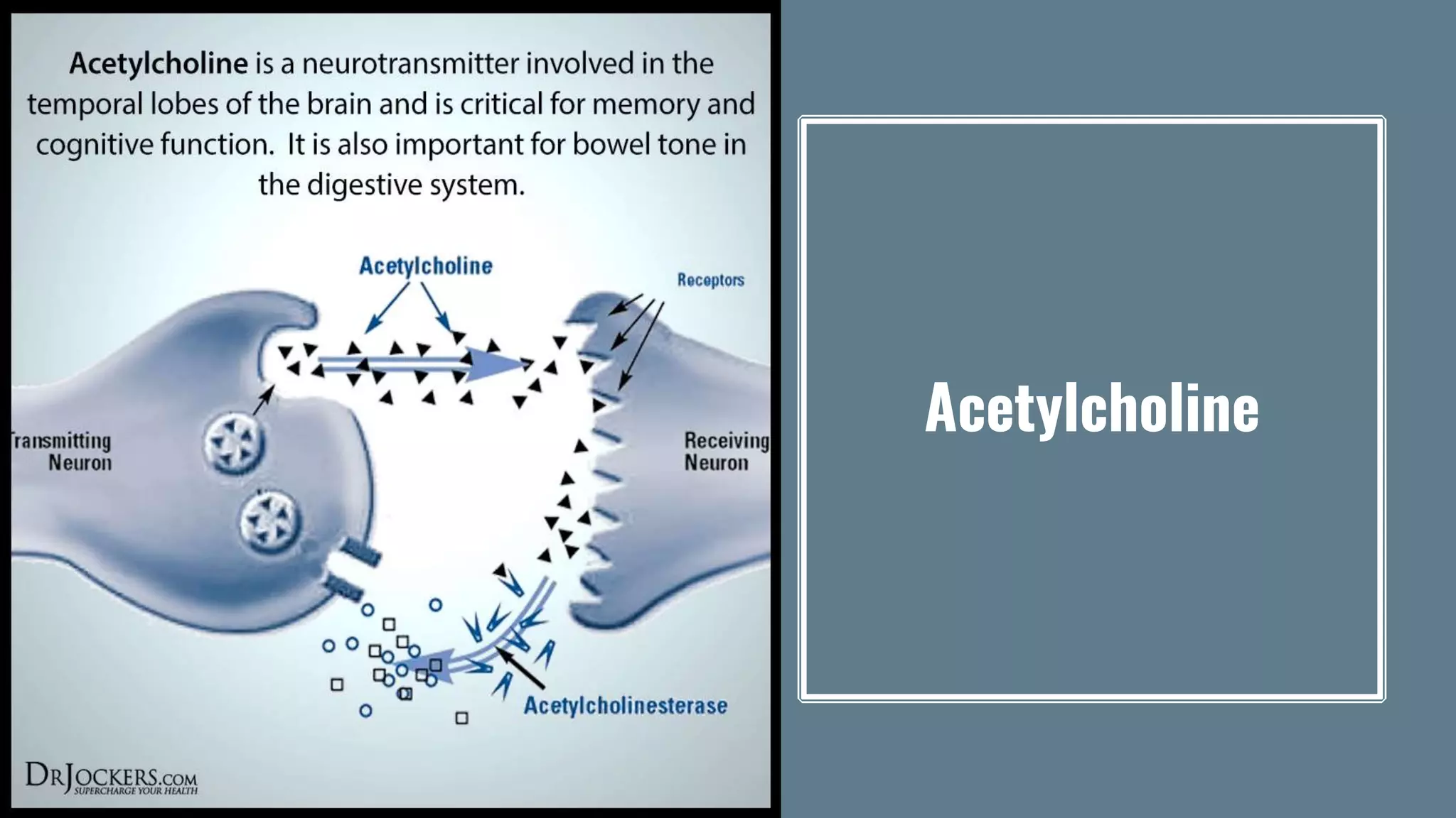 Acetylcholine
 