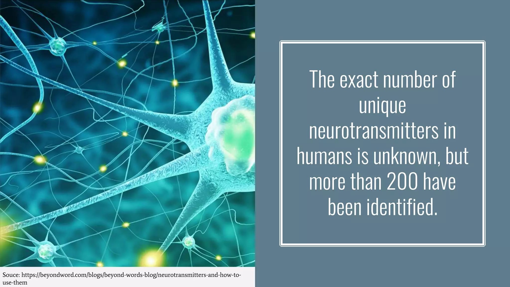 The exact number of
unique
neurotransmitters in
humans is unknown, but
more than 200 have
been identified.
Souce: https://beyondword.com/blogs/beyond-words-blog/neurotransmitters-and-how-to-
use-them
 