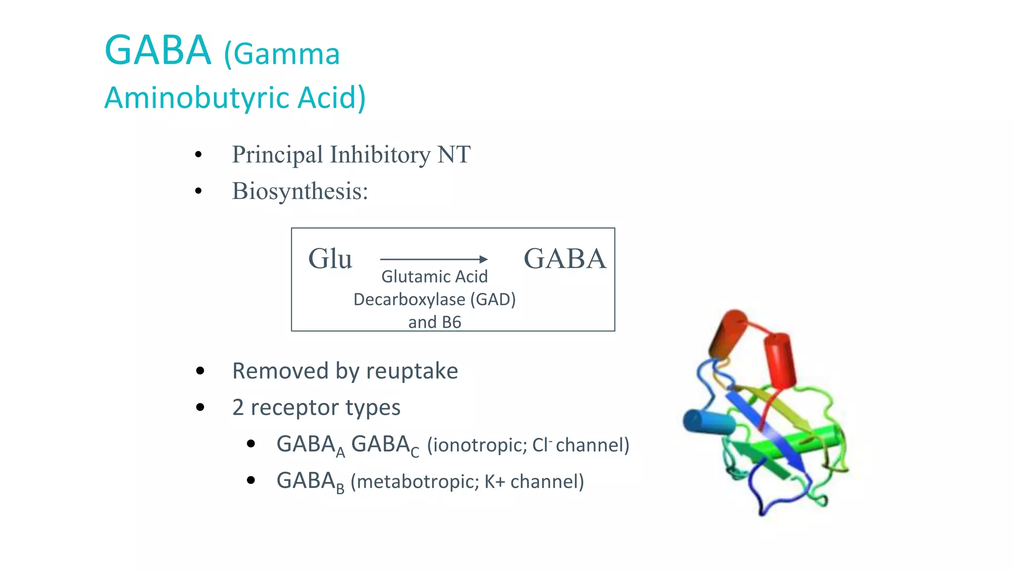 Neurotransmitters | PPTX