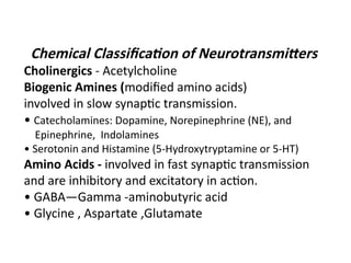 Comprehensive Overview of Neurotransmitters: Types, Actions, and ...
