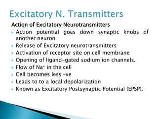 Action of Excitatory Neurotransmitters
 Action potential goes down synaptic knobs of
another neuron
 Release of Excitatory neurotransmitters
 Activation of receptor site on cell membrane
 Opening of ligand-gated sodium ion channels.
 Flow of Na⁺ in the cell
 Cell becomes less –ve
 Leads to to a local depolarization
 Known as Excitatory Postsynaptic Potential (EPSP).
 