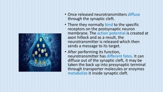 • Once released neurotransmitters diffuse
through the synaptic cleft.
• There they normally bind to the specific
receptors on the postsynaptic neuron
membrane. The action potential is created at
axon hillock and as a result, the
neurotransmitter is released which then
sends a message to its target.
• After performing its function,
neurotransmitter has different fates. It can
diffuse out of the synaptic cleft, it may be
taken the back up into presynaptic terminal
through transporter molecules or enzymes
metabolize it inside synaptic cleft.
 