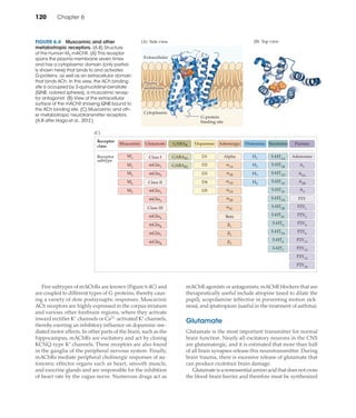 Neurotransmitters and their receptors - Dale Purves et al. (eds ...
