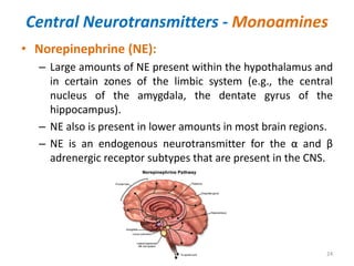 Central Neurotransmitters - Monoamines
• Norepinephrine (NE):
– Large amounts of NE present within the hypothalamus and
in certain zones of the limbic system (e.g., the central
nucleus of the amygdala, the dentate gyrus of the
hippocampus).
– NE also is present in lower amounts in most brain regions.
– NE is an endogenous neurotransmitter for the α and β
adrenergic receptor subtypes that are present in the CNS.
24
 