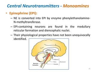 Central Neurotransmitters - Monoamines
• Epinephrine (EPI):
– NE is converted into EPI by enzyme phenylethanolamine-
N-methyltransferase.
– EPI-containing neurons are found in the medullary
reticular formation and diencephalic nuclei.
– Their physiological properties have not been unequivocally
identified.
25
 