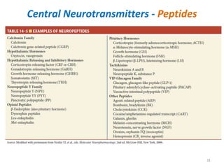 Central Neurotransmitters - Peptides
31
 