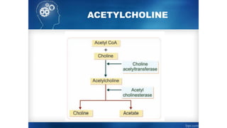 ACETYLCHOLINE
 
