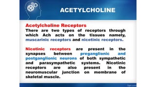 ACETYLCHOLINE
Acetylcholine Receptors
There are two types of receptors through
which Ach acts on the tissues namely,
muscarinic receptors and nicotinic receptors.
Nicotinic receptors are present in the
synapses between preganglionic and
postganglionic neurons of both sympathetic
and parasympathetic systems. Nicotinic
receptors are also present in the
neuromuscular junction on membrane of
skeletal muscle.
 