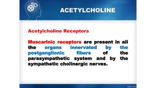 ACETYLCHOLINE
Acetylcholine Receptors
Muscarinic receptors are present in all
the organs innervated by the
postganglionic fibers of the
parasympathetic system and by the
sympathetic cholinergic nerves.
 