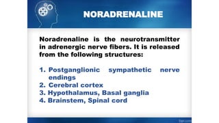NORADRENALINE
Noradrenaline is the neurotransmitter
in adrenergic nerve fibers. It is released
from the following structures:
1. Postganglionic sympathetic nerve
endings
2. Cerebral cortex
3. Hypothalamus, Basal ganglia
4. Brainstem, Spinal cord
 