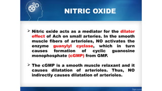 NITRIC OXIDE
 Nitric oxide acts as a mediator for the dilator
effect of Ach on small arteries. In the smooth
muscle fibers of arterioles, NO activates the
enzyme guanylyl cyclase, which in turn
causes formation of cyclic guanosine
monophosphate (cGMP) from GMP.
 The cGMP is a smooth muscle relaxant and it
causes dilatation of arterioles. Thus, NO
indirectly causes dilatation of arterioles.
 