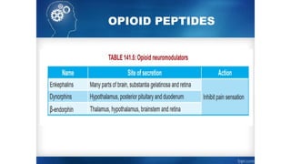 OPIOID PEPTIDES
 