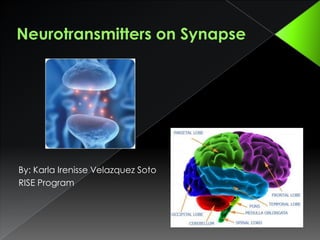 Neurotransmitters on Synapse By: Karla Irenisse Velazquez Soto RISE Program 