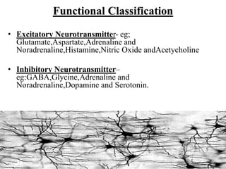 Functional Classification
• Excitatory Neurotransmitter- eg;
Glutamate,Aspartate,Adrenaline and
Noradrenaline,Histamine,Nitric Oxide andAcetycholine
• Inhibitory Neurotransmitter–
eg:GABA,Glycine,Adrenaline and
Noradrenaline,Dopamine and Serotonin.
2/18/2015 ANCY KURIAN IMSc. Neurotransmitters 13
 
