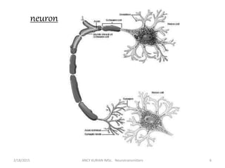 neuron
2/18/2015 ANCY KURIAN IMSc. Neurotransmitters 6
 