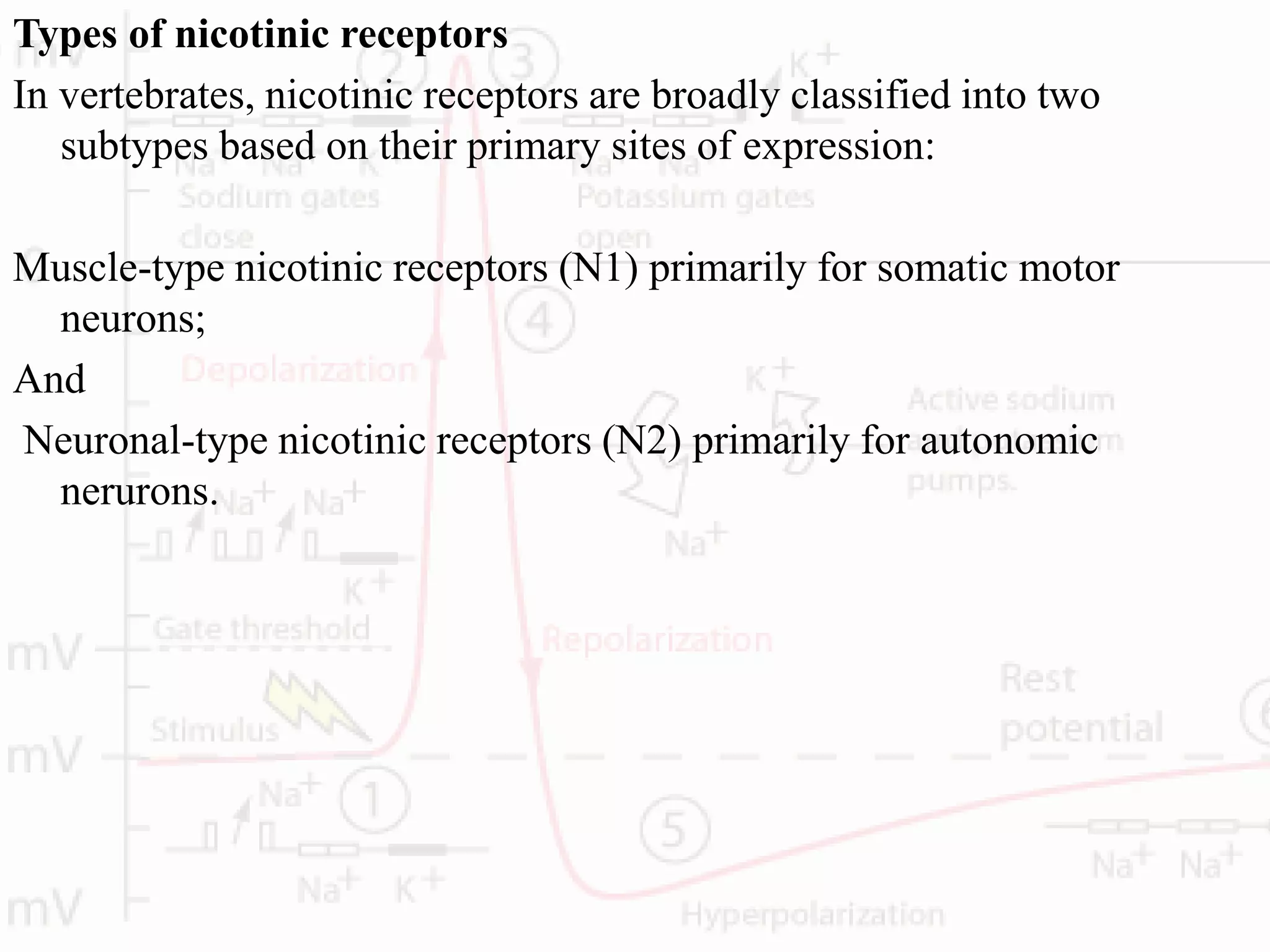 Types of nicotinic receptors
In vertebrates, nicotinic receptors are broadly classified into two
subtypes based on their primary sites of expression:
Muscle-type nicotinic receptors (N1) primarily for somatic motor
neurons;
And
Neuronal-type nicotinic receptors (N2) primarily for autonomic
nerurons.
 