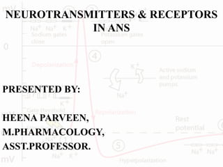 NEUROTRANSMITTERS & RECEPTORS
IN ANS
PRESENTED BY:
HEENA PARVEEN,
M.PHARMACOLOGY,
ASST.PROFESSOR.
 