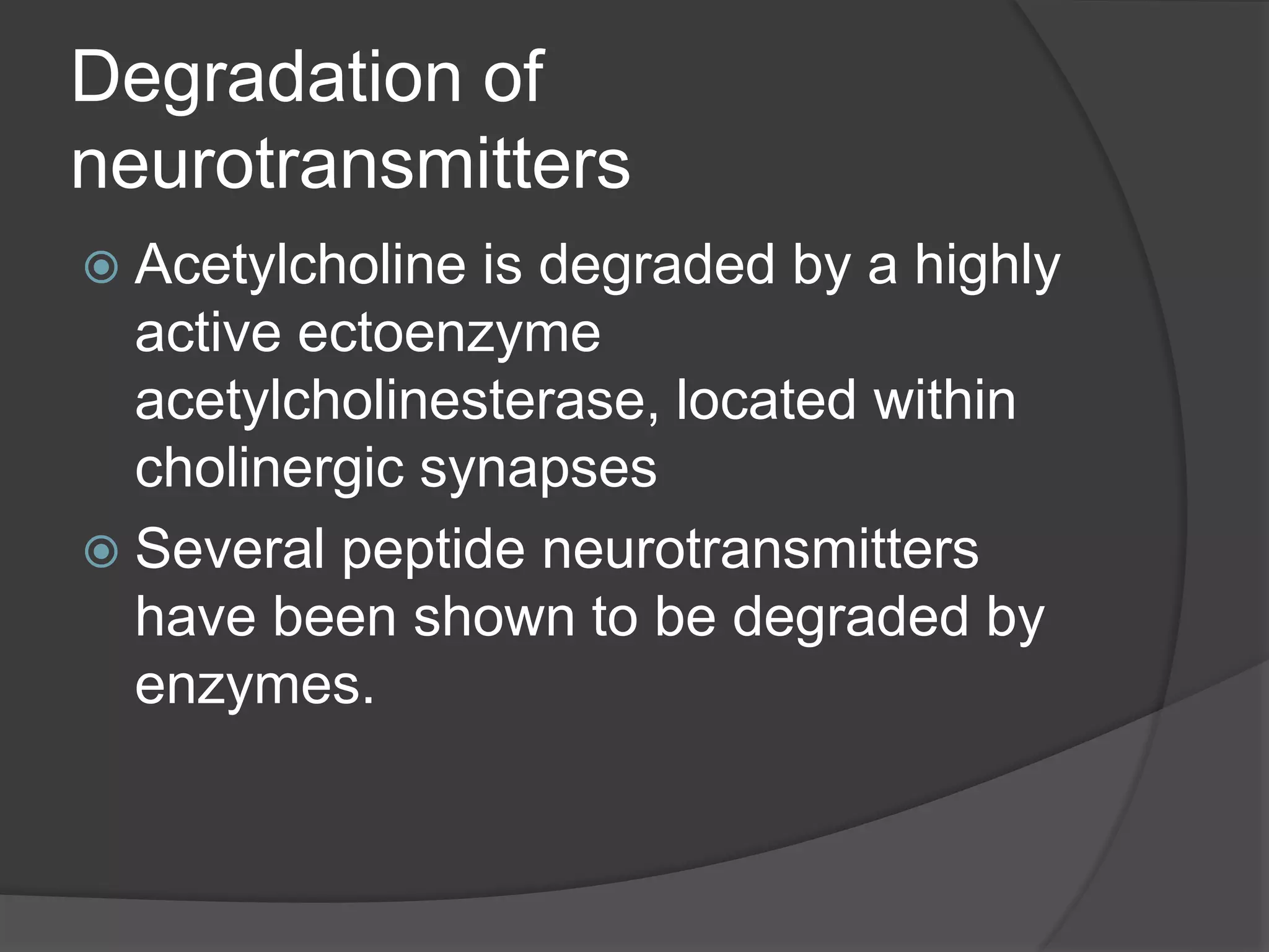 Degradation of
neurotransmitters
Acetylcholine is degraded by a highly
active ectoenzyme
acetylcholinesterase, located within
cholinergic synapses
Several peptide neurotransmitters
have been shown to be degraded by
enzymes.