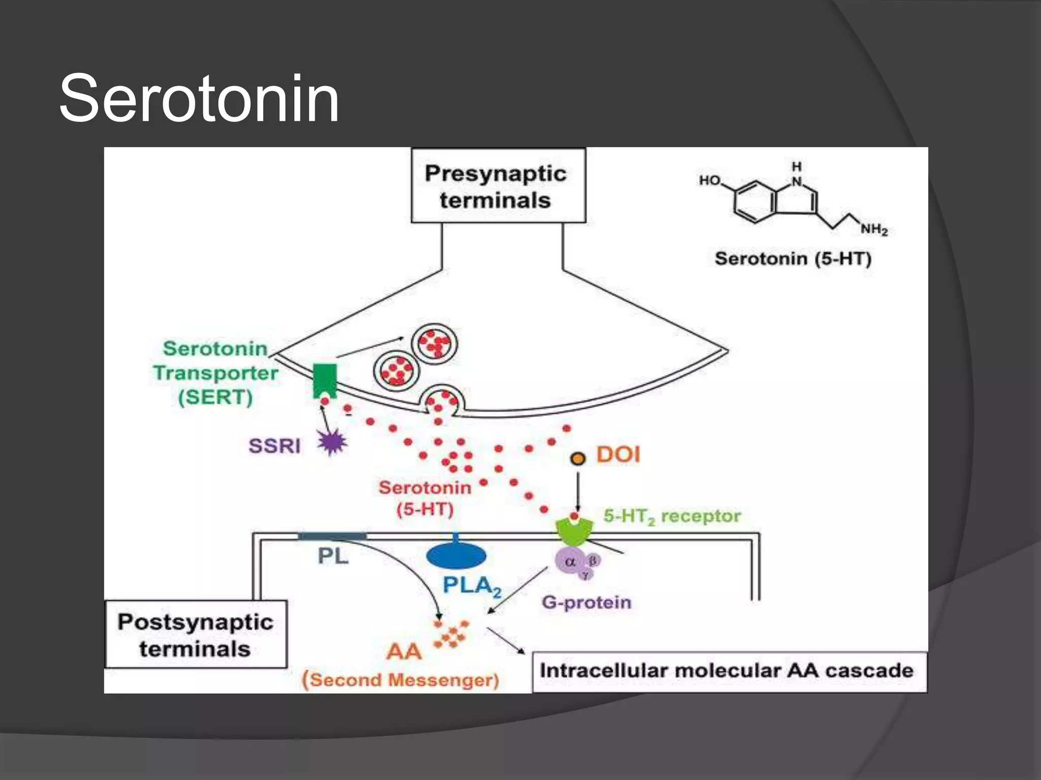 Serotonin