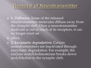 Neurotransmitter vijay | PPTX