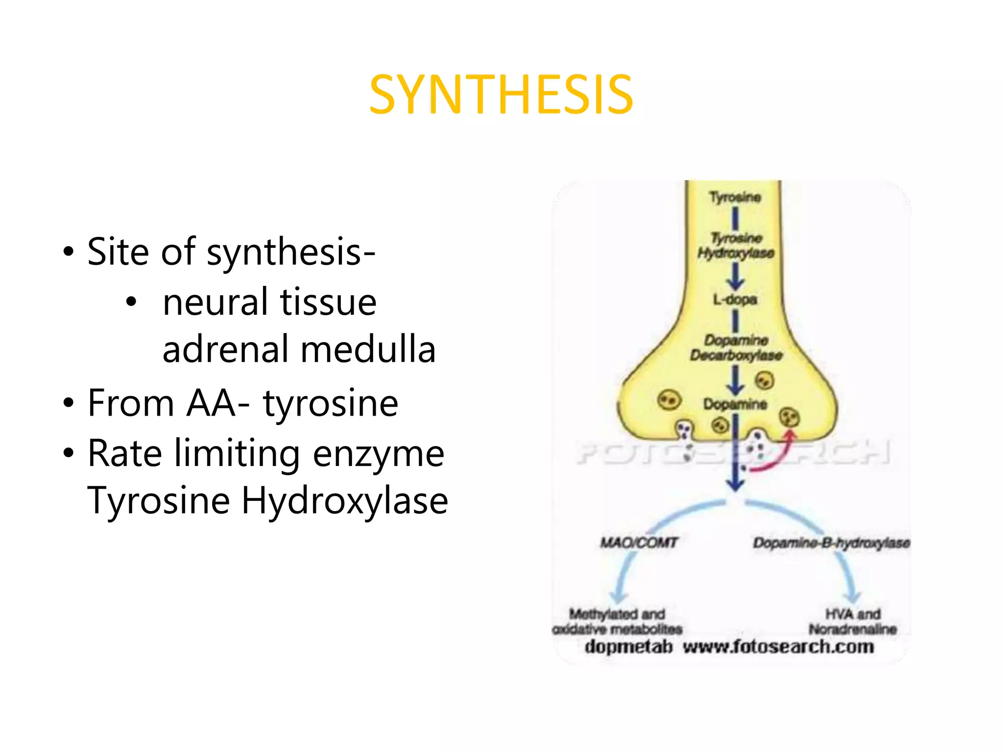 Image showcasing Neurotransmittter and role of dopamine in psychiatry | PPTX