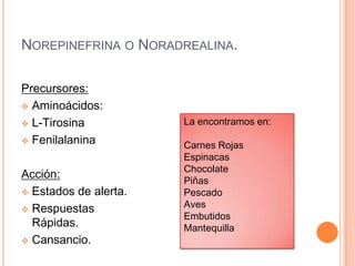 AcetilcolinaLa encontramos en:Lecitina: Yema de Huevo,Germen de Trigo, Maní, Hígado, Jamón.Carne Vacuno.Coliflor.PrecursoresColina