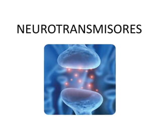 NEUROTRANSMISORES 