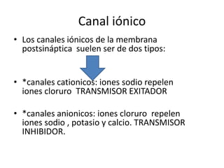 Canal iónicoLos canales iónicos de la membrana postsináptica  suelen ser de dos tipos:*canales cationicos: iones sodio repelen iones cloruro  TRANSMISOR EXITADOR*canales anionicos: iones cloruro  repelen iones sodio , potasio y calcio. TRANSMISOR INHIBIDOR.
