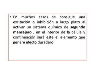En muchos casos se consigue una excitación o inhibición a largo plazo al activar un sistema químico de segundo mensajero , en el interior de la célula y continuación será este el elemento que genere efecto duradero.