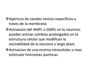 Apertura de canales ionicosespecificos a traves de la membrana 