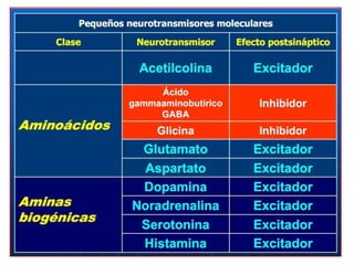 Diversos cambios en el metabolismo interno de la neurona postsinaptcia