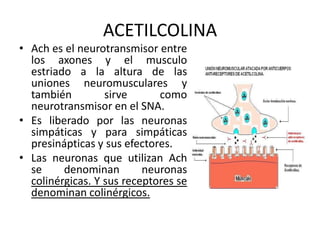 INHIBICIONApertura de los canales de ion cloruro en la membrana neuronal postsinaptica.