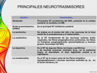 PRINCIPALES NEUROTRASMISORES
.
Nombre Característica
Glutamato Principales NT excitatorios del SNC, presente en la corteza
cerebral, el cerebelo y la ME.
Ácido g-aminobutírico
(GABA)
Es el principal NT inhibitorio cerebral.
La serotonina Se origina en el núcleo del rafe y las neuronas de la línea
media de la protuberancia y el mesencéfalo.
La acetilcolina Es el NT fundamental de las neuronas motoras bulbo
-espinales, las fibras preganglionares autónomas, las fibras
co linérgicas posganglionares (parasimpáticas) y muchos
grupos neuronales del SNC.
La dopamina Es el NT de algunas fibras nerviosas y periféricas
y de muchas neuronas centrales (p.ej., en la sustancia
negra, el diencéfalo, el área tegmental ventral y el
hipotálamo.
La noradrenalina Es el NT de la mayor parte de las fibras simpática
sposganglionares y muchas neuronas centrales (p. ej. , en
el locus ceruleus y el
 