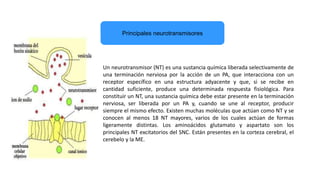 Un neurotransmisor (NT) es una sustancia química liberada selectivamente de
una terminación nerviosa por la acción de un PA, que interacciona con un
receptor específico en una estructura adyacente y que, si se recibe en
cantidad suficiente, produce una determinada respuesta fisiológica. Para
constituir un NT, una sustancia química debe estar presente en la terminación
nerviosa, ser liberada por un PA y, cuando se une al receptor, producir
siempre el mismo efecto. Existen muchas moléculas que actúan como NT y se
conocen al menos 18 NT mayores, varios de los cuales actúan de formas
ligeramente distintas. Los aminoácidos glutamato y aspartato son los
principales NT excitatorios del SNC. Están presentes en la corteza cerebral, el
cerebelo y la ME.
Principales neurotransmisores
 