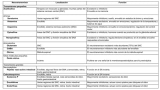 Neurotransmisor Localización Función
Transmisores pequeños
Acetilcolina Sinapsis con músculos y glándulas; muchas partes del
sistema nervioso central (SNC)
Excitatorio o inhibitorio
Envuelto en la memoria
Aminas
Serotonina Varias regiones del SNC Mayormente inhibitorio; sueño, envuelto en estados de ánimo y emociones
Histamina Encéfalo Mayormente excitatorio; envuelto en emociones, regulación de la temperatura y
balance de agua
Dopamina Encéfalo; sistema nervioso autónomo (SNA) Mayormente inhibitorio; envuelto en emociones/ánimo; regulación del control
motor
Epinefrina Areas del SNC y división simpática del SNA Excitatorio o inhibitorio; hormona cuando es producido por la glándula adrenal
Norepinefrina Areas del SNC y división simpática del SNA Excitatorio o inhibitorio; regula efectores simpáticos; en el encéfalo envuelve
respuestas emocionales
Aminoácidos
Glutamato SNC El neurotransmisor excitatorio más abundante (75%) del SNC
GABA Encéfalo El neurotransmisor inhibitorio más abundante del encéfalo
Glicina Médula espinal El neurotransmisor inhibitorio más común de la médula espinal
Otras moléculas pequeñas
Óxido nítrico
Incierto Pudiera ser una señal de la membranapostsináptica para la presináptica
Transmisores grandes
Neuropéptidos
Péptido vaso-activo intestinal Encéfalo; algunas fibras del SNA y sensoriales, retina,
tracto gastrointestinal
Función en el SN incierta
Colecistoquinina Encéfalo; retina Función en el SN incierta
Sustancia P Encéfalo;médula espinal, rutas sensoriales de dolor,
tracto gastrointestinal
Mayormente excitatorio; sensaciones de dolor
Encefalinas Varias regiones del SNC; retina; tracto intestinal Mayormente inhibitorias; actuan como opiatos para bloquear el dolor
Endorfinas Varias regiones del SNC; retina; tracto intestinal Mayormente inhibitorias; actuan como opiatos para bloquear el dolor
 