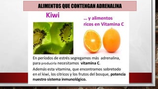 ALIMENTOS QUE CONTENGAN ADRENALINA
 