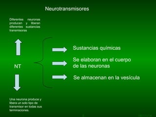 Sustancias químicas
Se elaboran en el cuerpo
de las neuronas
Se almacenan en la vesícula
16/11/143
NT
Diferentes neuronas
producen y liberan
diferentes sustancias
transmisoras
Una neurona produce y
libera un solo tipo de
transmisor en todas sus
terminaciones.
Neurotransmisores
 