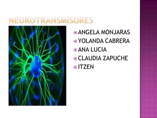 Neurotransmisores ANGELA MONJARAS YOLANDA CABRERA ANA LUCIA CLAUDIA ZAPUCHE ITZEN 