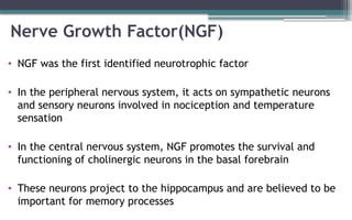 Neurotrophic Factors | PPTX