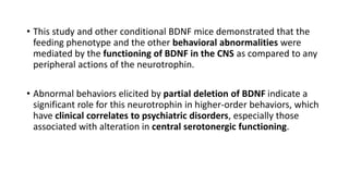 • This study and other conditional BDNF mice demonstrated that the
feeding phenotype and the other behavioral abnormalities were
mediated by the functioning of BDNF in the CNS as compared to any
peripheral actions of the neurotrophin.
• Abnormal behaviors elicited by partial deletion of BDNF indicate a
significant role for this neurotrophin in higher-order behaviors, which
have clinical correlates to psychiatric disorders, especially those
associated with alteration in central serotonergic functioning.