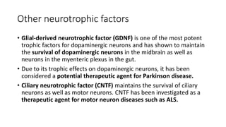 Other neurotrophic factors
• Glial-derived neurotrophic factor (GDNF) is one of the most potent
trophic factors for dopaminergic neurons and has shown to maintain
the survival of dopaminergic neurons in the midbrain as well as
neurons in the myenteric plexus in the gut.
• Due to its trophic effects on dopaminergic neurons, it has been
considered a potential therapeutic agent for Parkinson disease.
• Ciliary neurotrophic factor (CNTF) maintains the survival of ciliary
neurons as well as motor neurons. CNTF has been investigated as a
therapeutic agent for motor neuron diseases such as ALS.