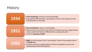 History
• Victor Hamburger, American neuroembryologist.
• Proposed that differentiation, specialization of nerve cells depends on their
final destination in the body.
1934
• Rita Levi Motalcini, Italian neurohistologist.
• Failure of neurons to thrive in the absence of target tissue was a degenerative
process rather than failure of differentiation as proposed earlier.
• Led to the discovery of NGF.
1951
• BDNF, the 2nd member of the “neurotrophic” family of neurotrophic factors
by Barde et al.
• Promote survival of a subpopulation of dorsal root ganglion neurons and
subsequently purified from pig brain
1982