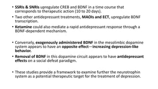 • SSRIs & SNRIs upregulate CREB and BDNF in a time course that
corresponds to therapeutic action (10 to 20 days).
• Two other antidepressant treatments, MAOIs and ECT, upregulate BDNF
transcription.
• Ketamine could also mediate a rapid antidepressant response through a
BDNF-dependent mechanism.
• Conversely, exogenously administered BDNF in the mesolimbic dopamine
system appears to have an opposite effect—increasing depression-like
behavior.
• Removal of BDNF in this dopamine circuit appears to have antidepressant
effects on a social defeat paradigm.
• These studies provide a framework to examine further the neurotrophin
system as a potential therapeutic target for the treatment of depression.